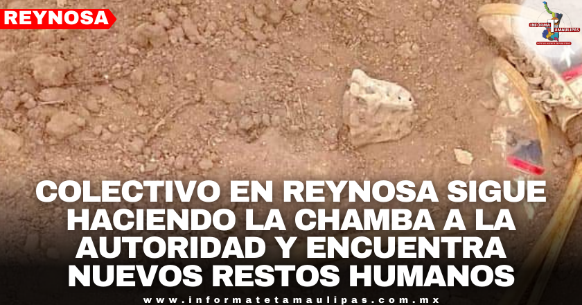 514e8720-7609-49cd-9deb-78d8aac67ff2.png