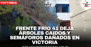 d354a4ef-4fff-456c-8463-08951d85a9ea.png
