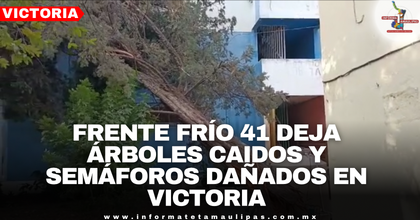 d354a4ef-4fff-456c-8463-08951d85a9ea.png