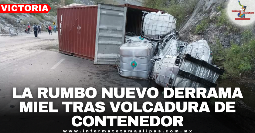ebfec84a-02c7-4d1e-a3e4-9e361a462cb3.png