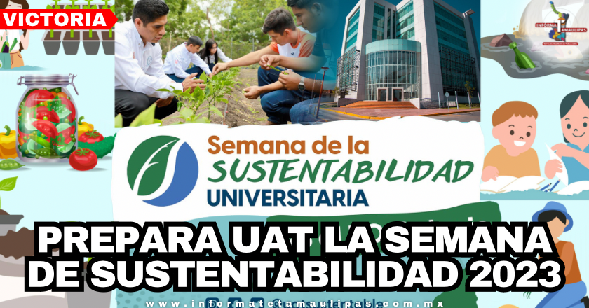 7fe0aaf1-3bba-4230-b4a5-9a33e90ee6e0.png