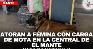 8e3a47c4-6816-46ae-80d7-e5e496c111aa.png