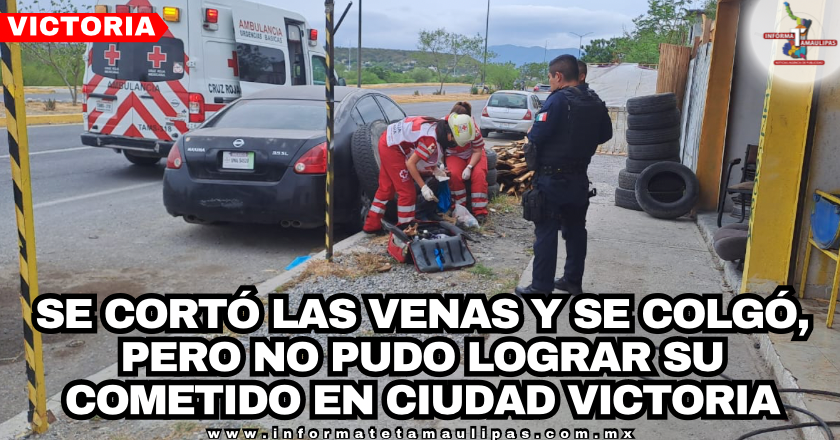 669dbd0a-13d3-4f70-a879-5ff07ab5e169.png