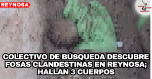 portada-notas-1.png