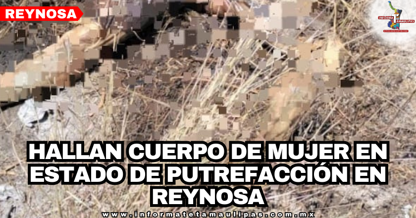 portada-notas-.png