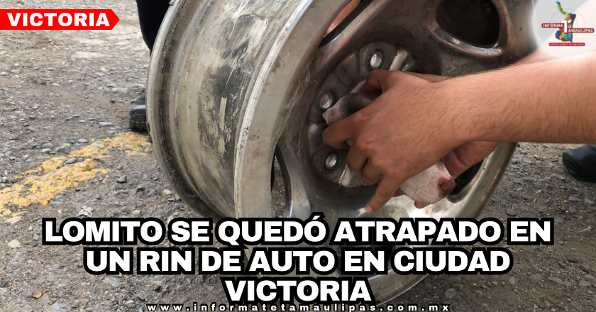 40f4a0d8-724f-4863-8ec5-ad4677967979.png