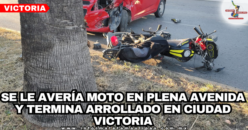 749d09a8-7970-440f-8ec4-c017abf42749-1.png