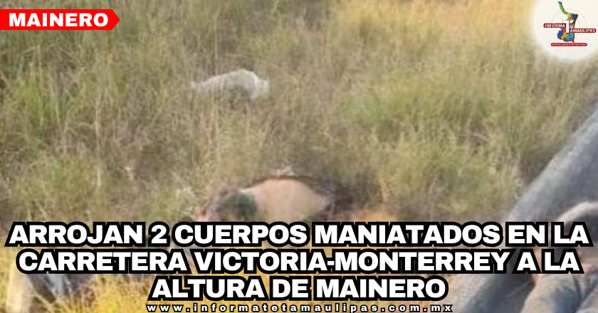 portada-notas-.png