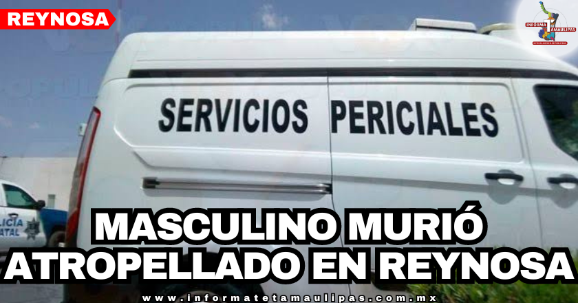 portada-notas-.png