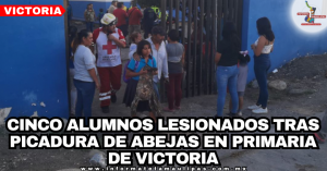 43dee4b1-f7f1-4415-9c5e-aaf7712b5193-1.png