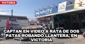 portada-notas-1.png