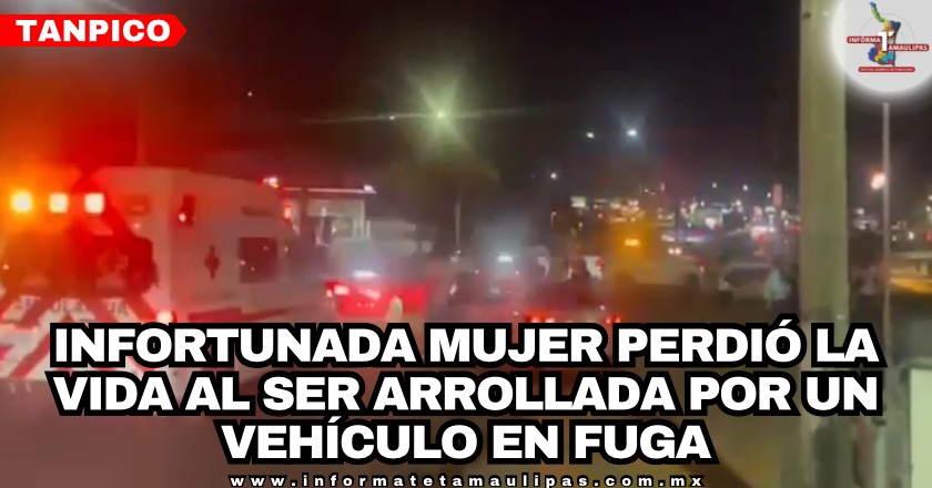 11bce933-3513-4585-98a6-0e7f1b5b12a6-1.png