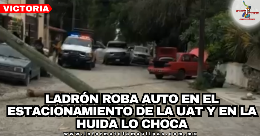 portada-notas-2-1.png