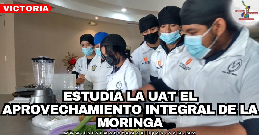 53137dce-00d6-40b8-9a2c-1d71e61d97c2-1.png
