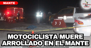 e9992655-d9f5-4c50-8a6e-4265ed088579-1.png