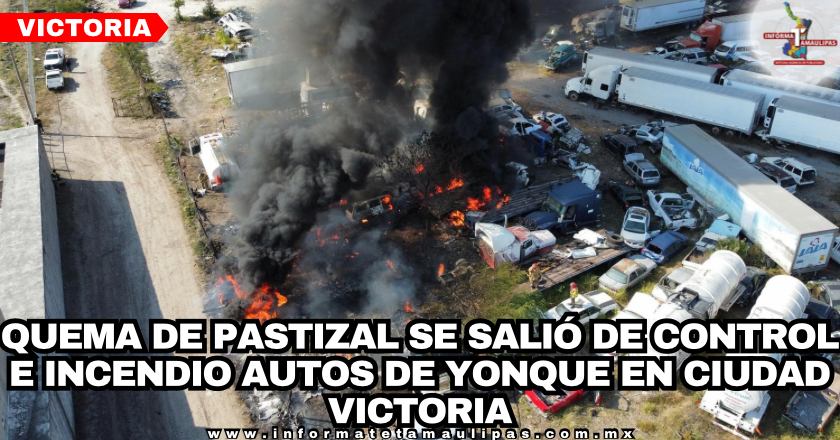 a7b8ac00-649c-4728-8e7a-11395b84bad9-1.png