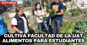 ee1c3f27-ee47-4b8c-8938-c9419e91ce16-1.png