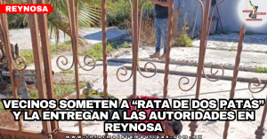 portada-notas-1.png