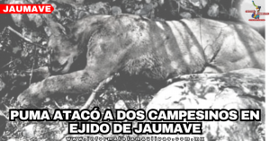 portada-notas-2.png