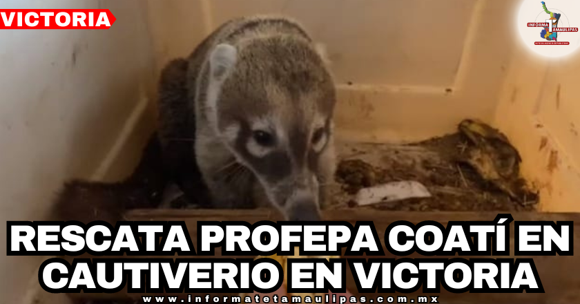 portada-notas-2.png