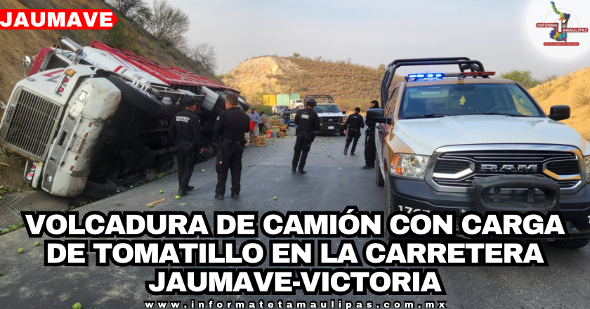 b23fc6b5-c68c-48b8-aa31-aa7d5ebfac3d-1.png