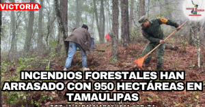 e357229c-1093-4025-add2-0565b586a497-1.png