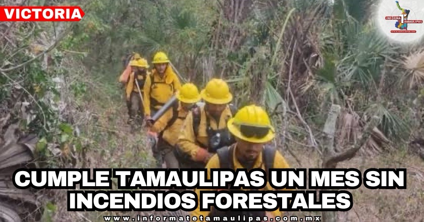 42d04b16-09e1-49bd-8769-85d70c0485c3-33088-000003fc11c34f50_file.jpg
