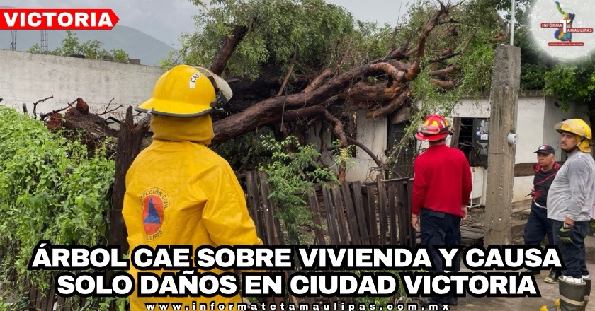 73219fbc-efb4-43d4-8247-9e6e2f7a1500-14740-00000df5dc139292_file.jpg