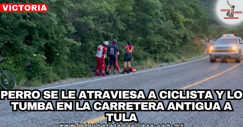portada-notas-1.png