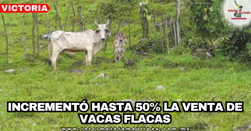 portada-notas-3.png