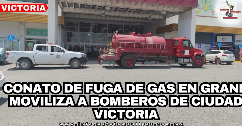 12fd0ad2-4fc9-48e9-be19-08e63f7ead9d-8878-00000d5227a36c80_file.jpg