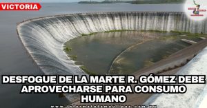 8edbe88b-9745-46e6-ac20-5667a841076b-7176-000001a00e8e11a0_file.jpg