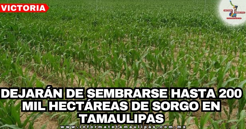 0a53787e-2072-4650-bac8-397c76d777ad-4190-00000339bc12c13a_file.jpg