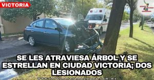 101fdc7c-75f6-4578-8167-9041c55909fc-42690-00000566d7b85549_file.jpg