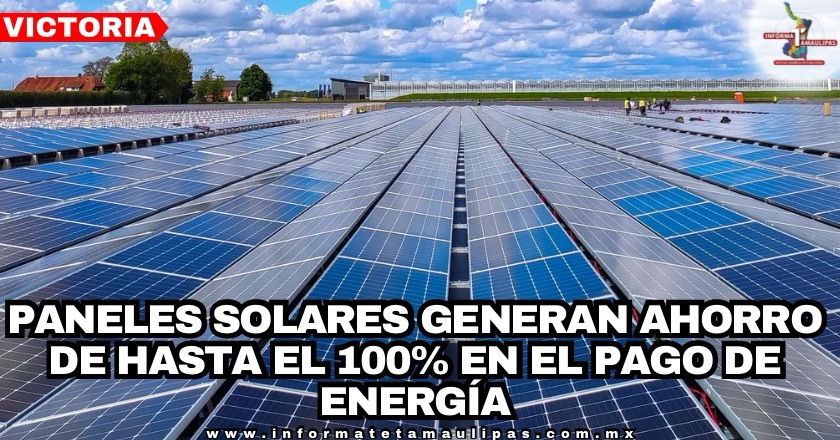 39729ca5-2036-4de3-8994-bfcc3c0f9a83-2020-000001fd4b1b5a41_file.jpg