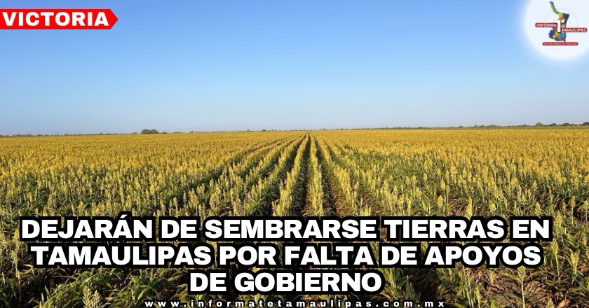 aef658e6-3bdf-4ac0-9bd8-8df1d23b7bcc-27517-00000e789ffcc1c9_file.jpg
