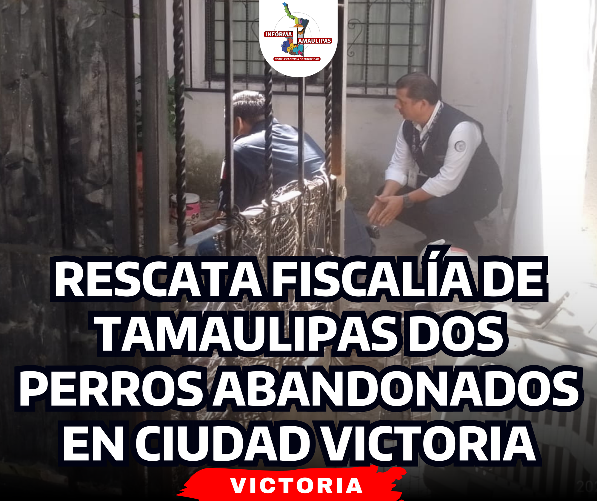 portada-notas-2-1.png