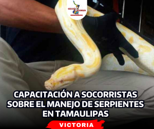 portada-notas-2-3-1.png