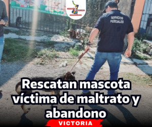 portada-notas-2-2-1.png