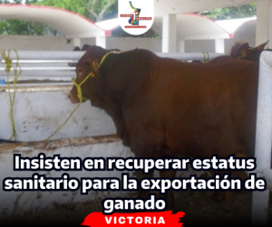 portada-notas-2-2-1.png