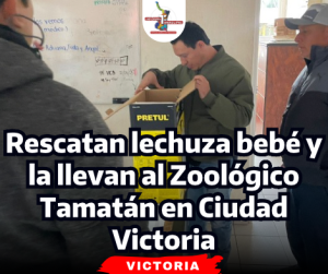 portada-notas-2-2-1.png