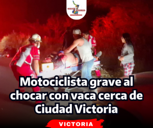 portada-notas-2-8.png