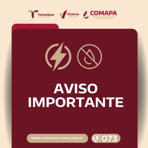 411b8e6d-aae2-4020-9417-2a60ba93d3e7-1.jpg