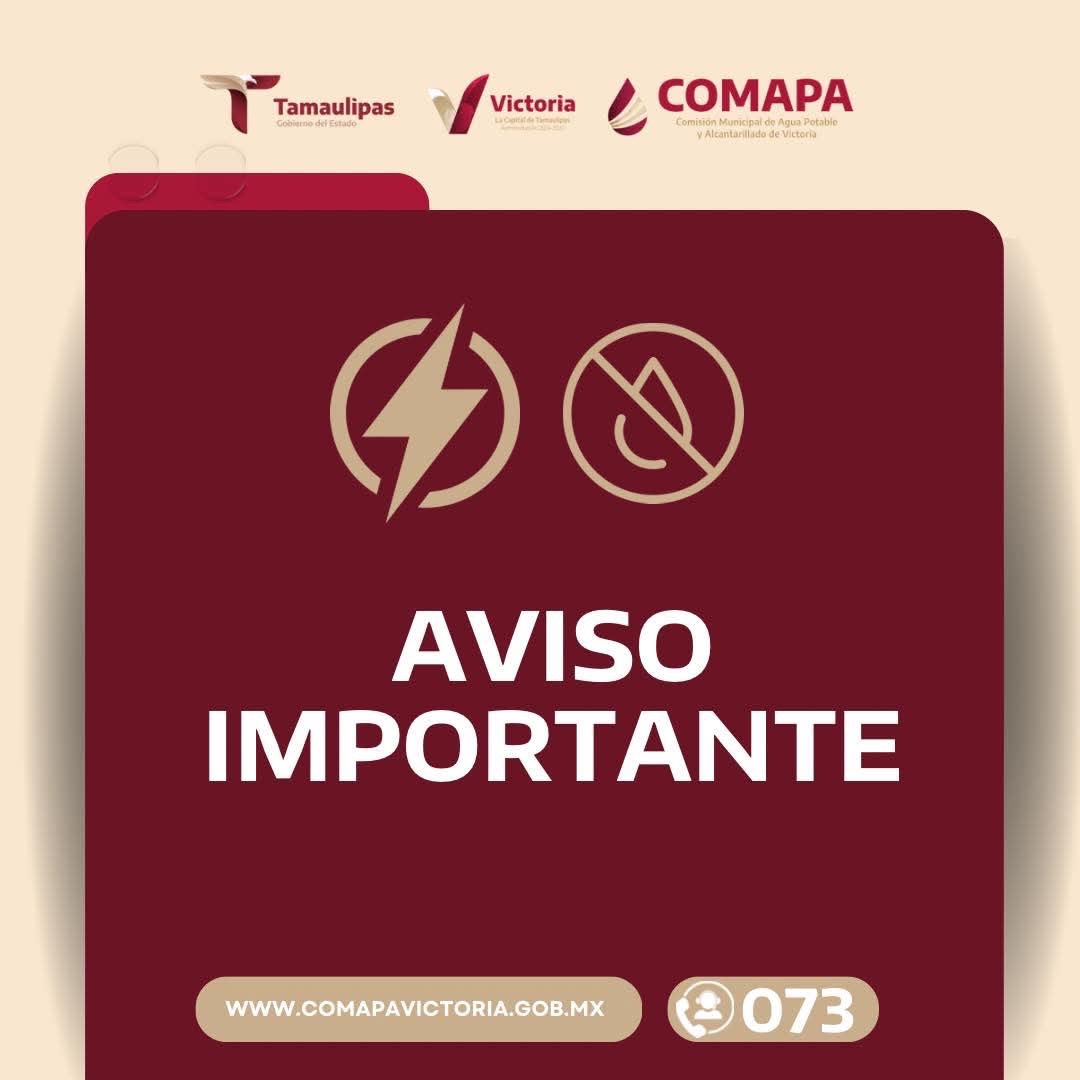 411b8e6d-aae2-4020-9417-2a60ba93d3e7-1.jpg