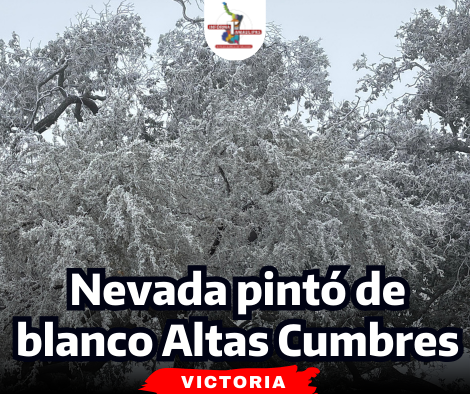 portada Notas 2