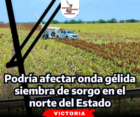 portada Notas 2  (4)