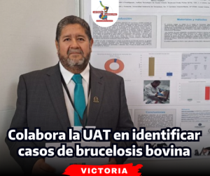 portada-notas-2-11-1.png