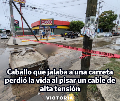 portada-notas-2-3.png