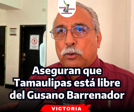 portada-notas-2-5-1.png