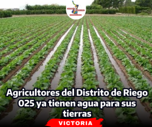 portada-notas-2-8.png